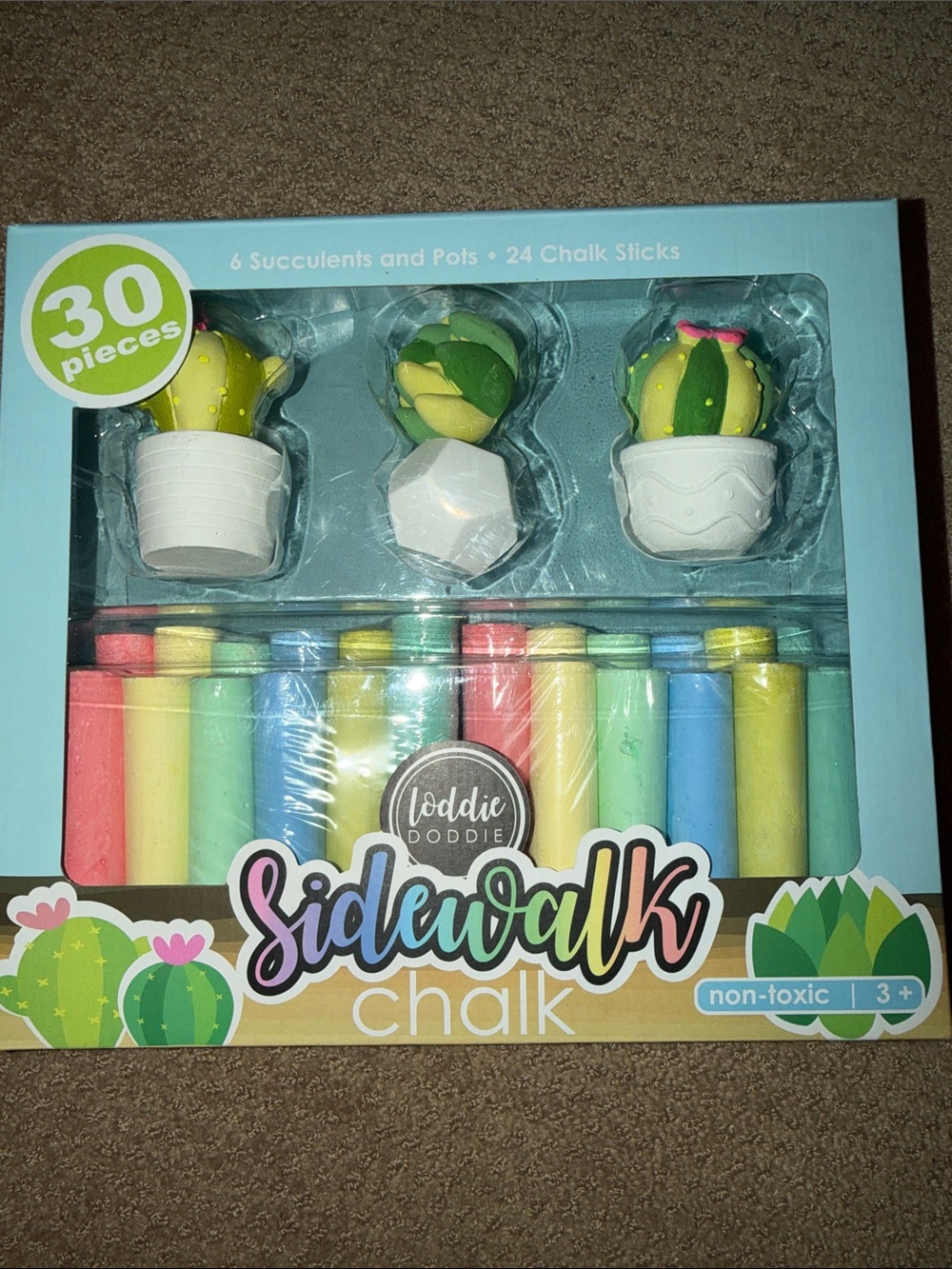 NEW Loddie Doddie 30 Piece Succulents and Pots Sidewalk Chalk Set